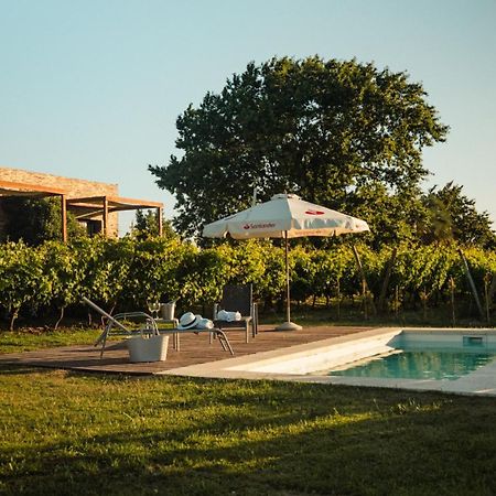 Pizzorno Lodge & Wine Progreso 외부 사진