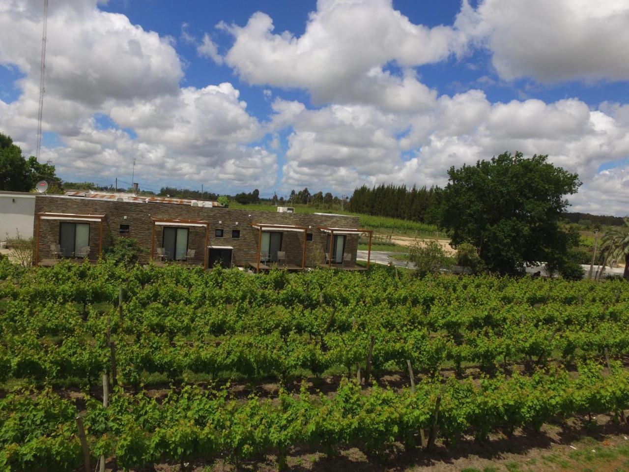 Pizzorno Lodge & Wine Progreso 외부 사진