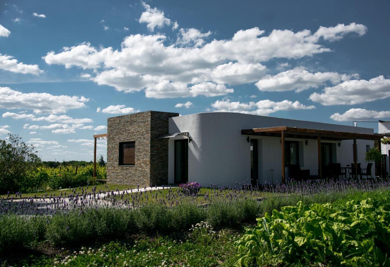 Pizzorno Lodge & Wine Progreso 외부 사진