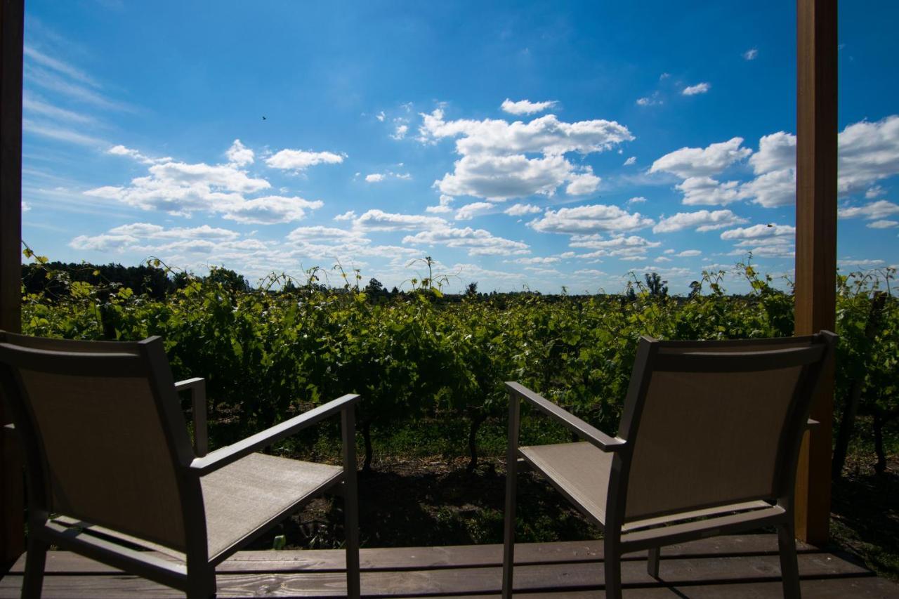 Pizzorno Lodge & Wine Progreso 외부 사진