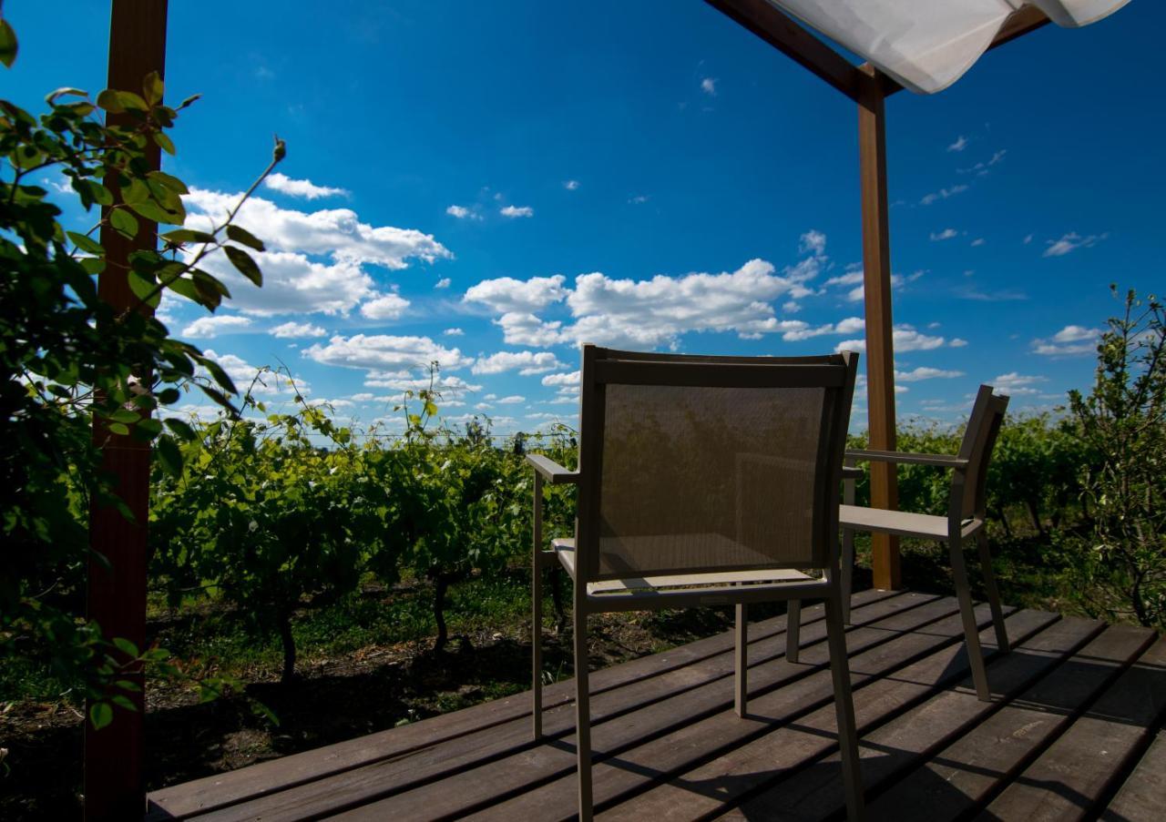 Pizzorno Lodge & Wine Progreso 외부 사진