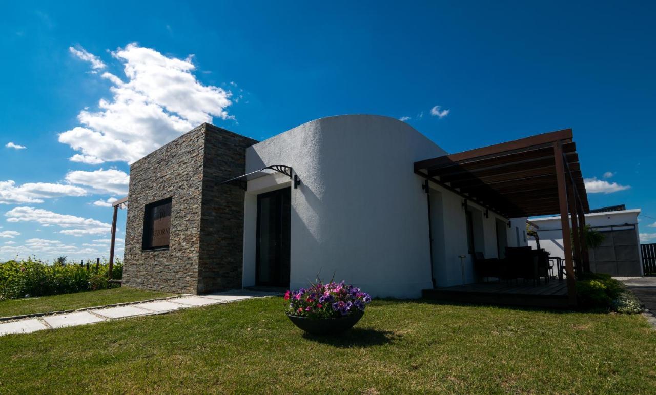 Pizzorno Lodge & Wine Progreso 외부 사진